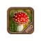 A mushroom App