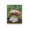 Edible Mushrooms on Guide