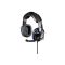Good headset with weaknesses
