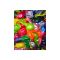 Super Balloon parcels with beautiful colors