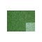 Great vigorously green grass carpet