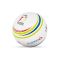 The ball of the German World Champion
