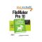 The book that you need for FileMaker.