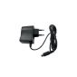 EAXUS - Power Charger for Nintendo 2DS - 3DS - 3DS XL - DSi (Video Game)
