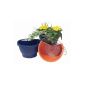 Technoplant downpipe planter Gruen 15632 (garden products)