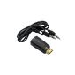 EXcellent Global - HDMI to VGA with Audio Adapter for laptop to a VGA monitor M-AV002 (Electronics)