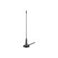 Goobay DVB - T 06 Mag passive DVB - T antenna (3 dB) with magnetic base (accessory)