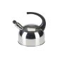 Axentia 220351 Kettles Stainless Steel 1.5 L (household goods)