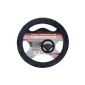 Dino 130015 Steering wheel cover, steering wheel cover, faux fur, black (Automotive)