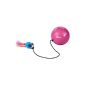 Trixie 4564 turbinio ball with engine / mouse, ø 9 cm (Misc.)