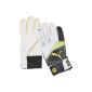 Puma Mens Goalkeeper Gloves BVB Universal (Sports Apparel)