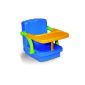 Babysun Nursery Booster Chair, Choice of colors (Baby Care)
