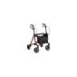 Taima lightweight walker (household goods)
