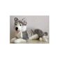 Lying Husky Husky 42 cm, from Luigi Bocchetta, plush dog, stuffed animal (toy)