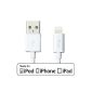 JETech® Apple Certified Data Sync USB Charging Cable for iPhone 6/6 Plus / 5 / 5S / 5C, iPad 4, iPad Mini, iPad Air (100cm Length White) (Personal Computers)