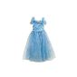 Maxi Dress Princess Costume Cinderella Kids Girls Dress Party Cute Halloween Carnival Costume Anime Cosplay Skirt Cocktail Dress for Toddler 3 4 5 6 7 8 9 10 years Blue White (Clothing)