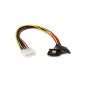 StarTech.com PYO2LP4LSATA Cable adapter Y Power distributor in around 2 SATA 30 cm (Electronics)
