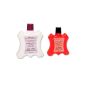 LEATHER FINE leather detergent + Leather Fixative 250 ml / 100 ml