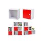 Storage Cube library shelves wardrobe panels of nine particles choices (without a red door) (Kitchen)