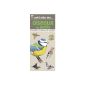 Small atlas of garden birds: Recognize 70 birds daily (Paperback)