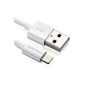 deleyCON 2m [Apple MFI certified] iPhone Lightning to USB Cable / sync cable / charging cable / data cable - white - USB to 8 pin Lightning cable - for Apple iPhone 6 Plus / 6 / 5s / 5c / 5, iPad Air / Mini / Mini 2, iPad a 4/3, iPod touch 5th, iPod nano 7th generation (electronic)