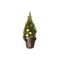 White Christmas Tree Picea conica 55 / 65cm with fairy lights, and cream-colored balls in wicker basket (garden products)