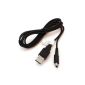 USB Charging Cable for Nintendo 3DS (Video Game)