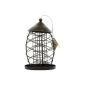 Rosewood 25529 Meisenknödel dispenser in the style of an old lantern for wild birds (Misc.)