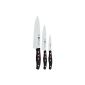 Zwilling Twin Pollux set of knives, 3 pcs., 420 x 135 mm (Stainless special steel, twin special formula steel, riveted, full tang, plastic bowls) black (household goods)