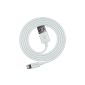 Cable Lightning Apple - Apple MFi Certified - Compatible iPhone 6/6 Plus / 5 / 5S / 5C, iPad mini / mini 2/3 mini, iPad Air / Air 2, iPad 4 / Retina, 5 iPod, iPod nano 7 etc.  - High speed loading lightning-USB cable (2.4 A) and synchronization (480MBit / s) - Original product and certified by Apple - 100% compatible with iOS devices - Charge your devices very quickly and synchronizes all your data without exceptions - New, 1 meter length, white and very light - Possible exchange or refund - Shop with confidence now!  (Wireless Phone Accessory)