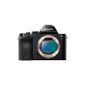 Sony Alpha 7s digital camera (12.2 megapixels, 7.6 cm (3 inch) LCD display, Full HD, Uncompressed output via HDMI (4K / Full HD) Silent Shooting mode, dust and splash proof) (Electronics)