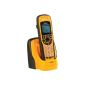 DeTeWe BeeTel 2000 Cordless and to IPX7 (waterproof) proved DECT phone for including ECO mode Ultra-range series (electronic)
