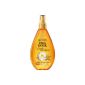 Garnier - Ultra Soft Argan Oils and Wonderful Camellia - Oil Dry Hair (Health and Beauty)