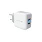 Innergie PowerJoy Pro - the universal USB charger (21W) for sockets with 2 x 2.1A USB ports (Electronics)