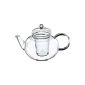 Trend Glass Teapot Miko 1,2 liter (household goods)