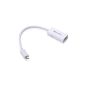 Cable Matters - Micro USB to HDMI Adapter for Samsung Galaxy S3 / S4 Galaxy / Galaxy Note 2 White (Electronics)