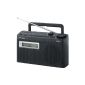 Panasonic RF-U300EG-K Portable Radio Digital Tuner 10 memories FM Black (Electronics)