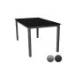 Garden table glass table coffee table aluminum dark gray / black - 147x87cm