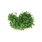 12 x Ivy Vine Decoration Artificial Plants - Leaf Sweet Potato
