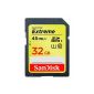 SanDisk Extreme SDHC Memory Card 32GB Class 10 UHS-I with a read speed of up to 45MB / s (032G-X46-SDSDX) (Personal Computers)