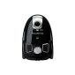 Rowenta RO 5255 vacuum cleaner Compacteo Ergo Eco, 1300 Watt, energy-saving, black / silver (household goods)