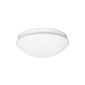 Ranex 5000.438 ceiling light / outdoor lamp with adjustable motion detector (garden products)