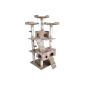 Cat scratching post Middle High 170cm (choice of colors) with many play and cuddle options (Misc.)