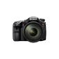 Sony SLT-A77VQ SLR digital camera (24 megapixels, 7.6 cm (3 inch) display, image stabilized) Kit incl. 16-50mm DT SAL F2.8 SSM lens (Electronics)