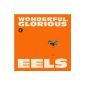 Wonderful, Glorious (CD)