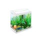 Tetra 211933 AquaArt Crayfish Aquarium Complete Set 30 L, for crabs and shrimps with innovative technology and simple maintenance, White Edition (Misc.)