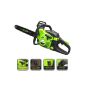 Silex Thermal chainsaw with automatic chain tensioner 2.5 kilowatts (Tools & Accessories)