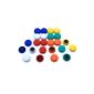 Expert Magnet Set of 24 small magnets for tables and refrigerators Different colors 20 x 7.5 mm (Kitchen)