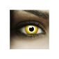 FXContacts 'Avatar' colored yellow Fun contact lenses without strength perfect for Halloween and Carnival (Personal Care)