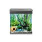 Tetra AquaArt Crayfish Aquarium Complete Set 30 L, for crabs and shrimps with innovative technology and easy maintenance (Misc.)